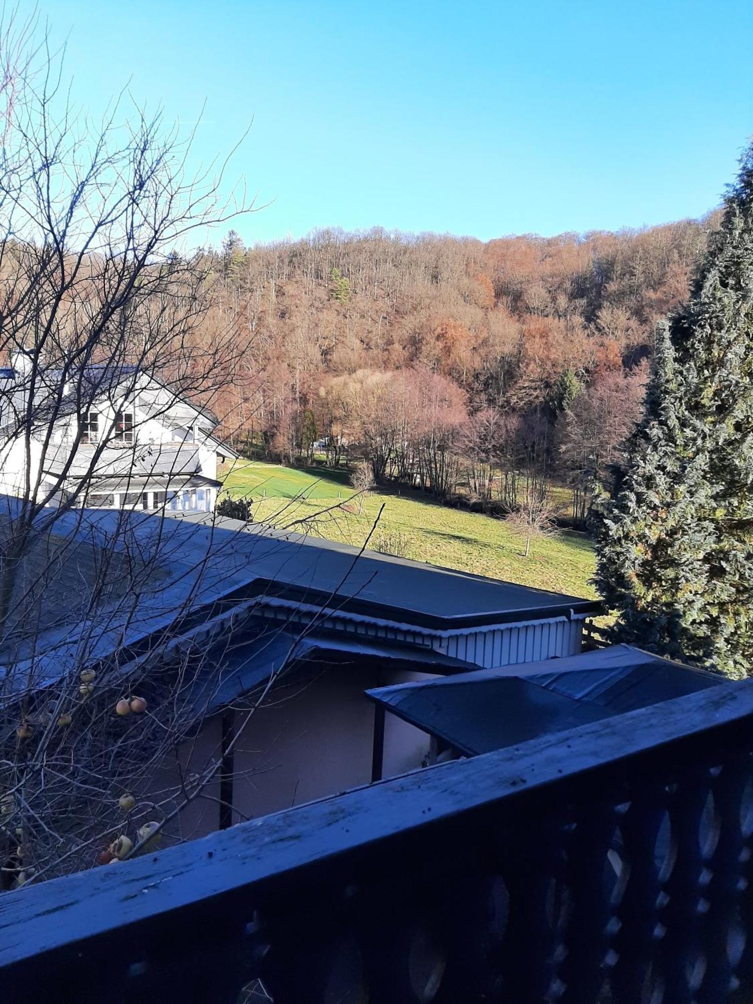 Ferienwohnung Bergblick Hallenberg Buitenkant foto